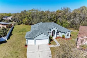 9621 WYDELLA STREET, RIVERVIEW, FL 33569 Sold 04/24/24