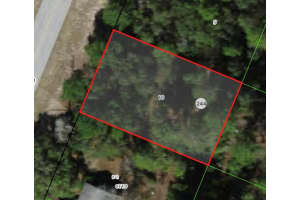 MLS# MFRA4601717, Citrus Springs, Florida 34433