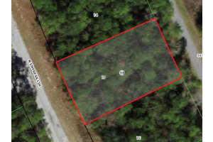 10267 EMPRESS CIRCLE, CITRUS SPRINGS, FL 34434 - MLS#MFRA4601720