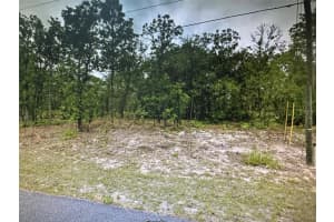 2466 SWANSON DRIVE, CITRUS SPRINGS, FL 34434 - MLS#MFRA4603497