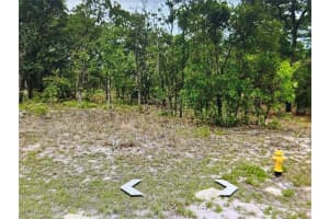 2466 SWANSON DRIVE, CITRUS SPRINGS, FL 34434 - MLS#MFRA4603497