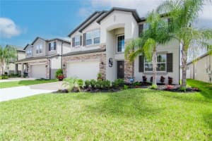 11425 ALACHUA CREEK LANE, RIVERVIEW, FL 33579 Sold 07/12/24