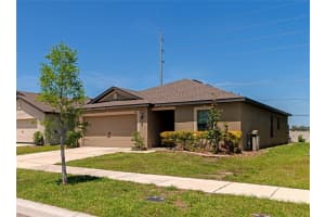 824 CHATHAM WALK DRIVE, RUSKIN, FL 33570 Sold 07/12/24