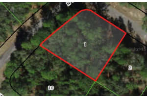422 PARROT PLACE, DUNNELLON, FL 34434 - MLS#MFRA4609068