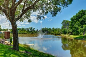 685 CLEAR CREEK DRIVE, OSPREY, FL 34229 Sold 07/08/24