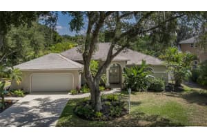 3014 RIVER WOODS DRIVE, PARRISH, FL 34219 Sold 07/26/24