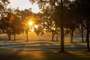 NW 31ST LANE RD, OCALA, FL 34482 - MLS#MFRA4610339