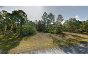 BLUELEAF DR, NORTH PORT, FL 34288 - MLS#MFRA4612458