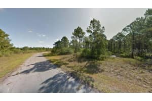 BLUELEAF DR, NORTH PORT, FL 34288 - MLS#MFRA4612458