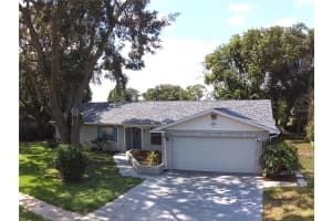 2207 SUMMIT VIEW DRIVE, VALRICO, FL 33596 Sold 10/28/24