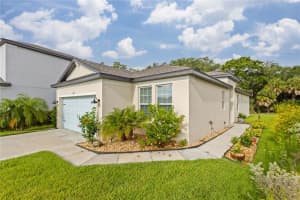 8567 STARLIGHT LOOP, PARRISH, FL 34219 Sold 08/05/24