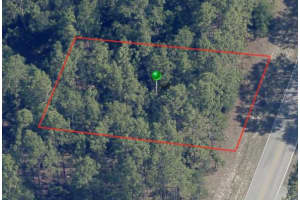 8150 SANTOS DRIVE, CITRUS SPRINGS, FL 34434 - MLS#MFRA4614279