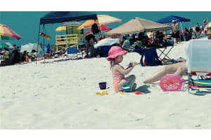 191 PALM AIR DRIVE, OSPREY, FL 34229 Sold 12/22/25