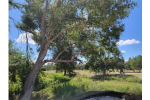 FINLAND AVE, NORTH PORT, FL 34288 Sold 05/19/25