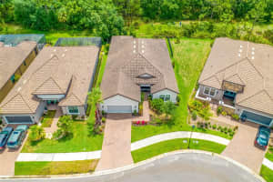 20005 UMBRIA HILL DRIVE, TAMPA, FL 33647 Sold 01/17/25