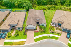 20005 UMBRIA HILL DRIVE, TAMPA, FL 33647 Sold 01/17/25