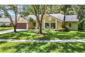 6711 FRONTIER LANE, TAMPA, FL 33625 Sold 11/25/24