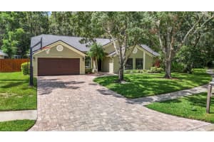6711 FRONTIER LANE, TAMPA, FL 33625 Sold 11/25/24