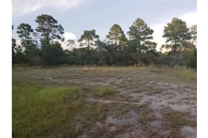 1251 POPINJAY AVENUE, LAKE PLACID, FL 33852 Sold 09/25/24