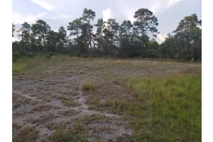 1251 POPINJAY AVENUE, LAKE PLACID, FL 33852 Sold 09/25/24