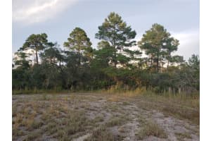 1251 POPINJAY AVENUE, LAKE PLACID, FL 33852 Sold 09/25/24