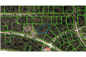 1251 POPINJAY AVENUE, LAKE PLACID, FL 33852 Sold 09/25/24