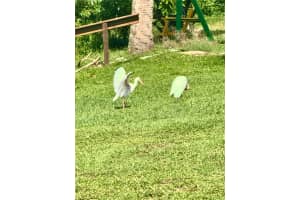 3303 BROOKLYN AVENUE, PORT CHARLOTTE, FL 33952 Sold 12/13/24