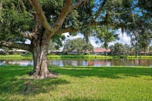 3921 WILSHIRE CIRCLE, SARASOTA, FL 34238 Sold 11/15/24