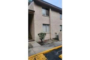 7513 PITCH PINE CIRCLE, TAMPA, FL 33617 Sold 12/19/24