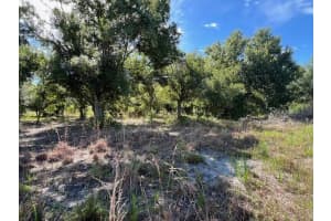 6289 DEWITT STREET, PUNTA GORDA, FL 33982 Sold 03/03/25