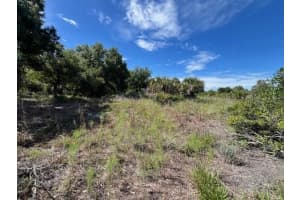 6289 DEWITT STREET, PUNTA GORDA, FL 33982 Sold 03/03/25