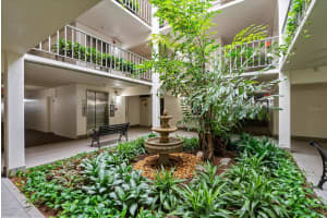 3325 BAYSHORE BOULEVARD, TAMPA, FL 33629 Sold 03/28/25