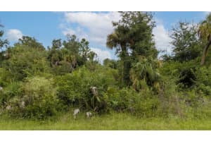 12132 KRAFT AVENUE, PORT CHARLOTTE, FL 33953 Sold 10/08/25