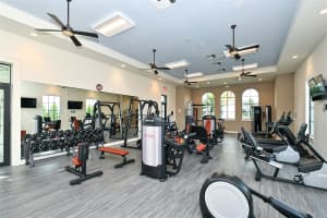 334 CORELLI DRIVE, NORTH VENICE, FL 34275 Sold 10/16/24