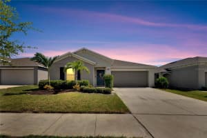 10506 STRAWBERRY TETRA DRIVE, RIVERVIEW, FL 33578 Sold 10/24/24