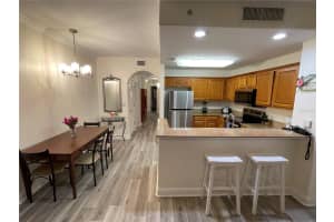 13427 BLUE HERON BEACH DRIVE, ORLANDO, FL 32821 Sold 01/29/25