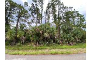 NEEDLE TER, NORTH PORT, FL 34286 Sold 02/28/25