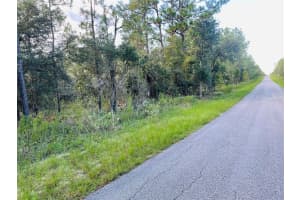 SE 129 CT, DUNNELLON, FL 34431 - MLS#MFRA4621806