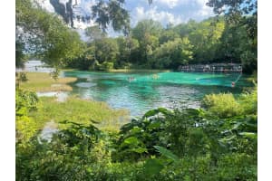 SE 129 CT, DUNNELLON, FL 34431 - MLS#MFRA4621806