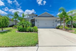 12918 RAINWASHED LOOP, PARRISH, FL 34219 Sold 06/13/25