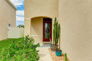 11164 LELAND GROVES DRIVE, RIVERVIEW, FL 33579 Sold 11/22/24
