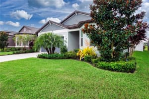11721 BRIGHTON KNOLL LOOP, RIVERVIEW, FL 33579 Sold 04/30/25