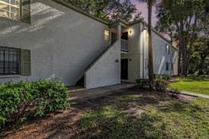 4607 NORTH B STREET, TAMPA, FL 33609 Sold 12/20/24