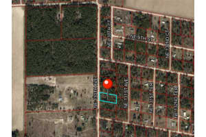 631 130 AVENUE, WILLISTON, FL 32696 Sold 02/13/25