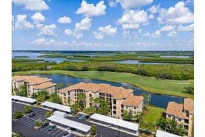 7019 RIVER HAMMOCK DRIVE, BRADENTON, FL 34212 Sold 03/24/25