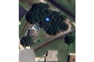 624 WALLABY LANE, KISSIMMEE, FL 34759 Sold 02/17/25