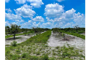 30ABCD NEAL/GRAHAM RD, PUNTA GORDA, FL 33982 Sold 07/02/25