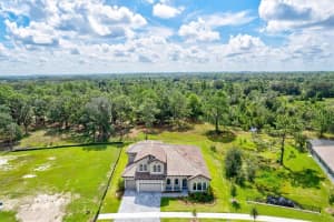 14607 SWISS BRIDGE DRIVE, LITHIA, FL 33547 - MLS#MFRA4625127