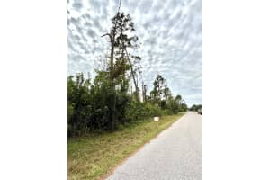 12419 PERRINE AVENUE, PORT CHARLOTTE, FL 33981 - MLS#MFRA4625997
