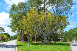 612 CASABELLA DRIVE, BRADENTON, FL 34209 Sold 01/31/25